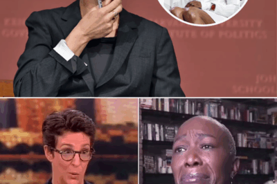 Rachel Maddow Drops Bombshell: ‘BASTARDS’—Exposes MSNBC Executives’ Role in Joy Reid’s Secret Exit Deal, Sending Shockwaves Through the Network!”