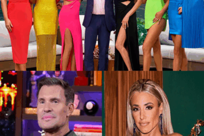 Melissa Gorga Drops a Bombshell in RHONJ Drama: Hit-and-Run, $20K Car Repair Bill, and a Vow to Sue—The Shocking Truth That Will Leave You Speechless!”