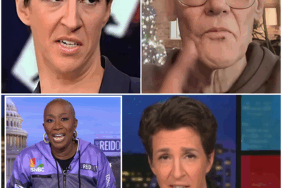 “MSNBC in CHAOS After Rachel Maddow EXPLODES on Live TV, Defying New Boss—Is This the START of a Network Revolution?”