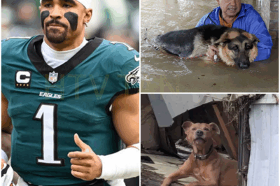 “SHOCKING UPDATE: Jalen Hurts Donates $30 Million for Texas Flood Relief—Thousands of Dogs Saved, Search and Rescue Dogs Deployed, and Mobile Rescue Camps Built! How the Eagles Star’s Jaw-Dropping Contribution is Changing the Game. What Motivated Hurts to Step into the Crisis and Fund Such a Monumental Effort? The Truth Behind His Unprecedented Act of Generosity That Has Left the Nation Stunned—And What Comes Next Will Blow Your Mind!”