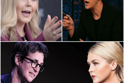 BREAKING: Rachel Maddow DEMANDS Security to REMOVE Karoline Leavitt After Explosive On-Air Confrontation—What Triggered Maddow’s SHOCKING Decision? The Live showdown spirals out of control as Leavitt’s bold remarks push Maddow to the brink, leading to a dramatic call for security to intervene. What was said that turned the political debate into an all-out battle, and why did Maddow act so swiftly? The intense confrontation has left the studio in chaos and the media world buzzing—find out what really happened behind the scenes!”