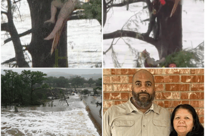 “EXCLUSIVE: Survivor of Texas Floods Clings to Tree for HOURS—What She Saw in the Water Will HAUNT Her Forever! Terrifying Images of Floating Bodies, Desperation, and the Tragic Toll of the Disaster—This Survivor’s Shocking Story Will Leave You Speechless! What Happened During Those Hours in the Flood, and Why the Horrors She Witnessed Will Stay With Her for Life. A Tale of Survival, Fear, and Unthinkable Tragedy You Won’t Believe!”