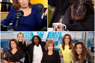 “SHOCKING: The View Announces Sudden Hiatus—Is This the Final Curtain for the Iconic Talk Show? In a stunning move that has left fans and the media world stunned, The View has confirmed it will be taking an unexpected hiatus, leaving its future uncertain. What led to this drastic decision, and is this the end of an era for one of daytime television’s most beloved programs? With tensions rising and speculation running wild, the truth behind the shocking break is about to unravel—prepare for a game-changing revelation!”