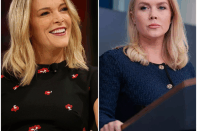“The View OBLITERATED! 💥 Karoline Leavitt’s Lawsuit & Megyn Kelly’s 8-Word TAKEDOWN Shocks the Industry! One reckless joke ignited a courtroom inferno, and now a media empire is crumbling. Was it a personal vendetta? A political hit job? Or something far more explosive? Industry insiders whisper of secret alliances and a battle for the soul of daytime TV. This isn’t just a lawsuit; it’s a DECLARATION OF WAR. Prepare for a tale of ambition, revenge, and the dawn of a fearless new media alliance. Click now to witness the carnage-and see if The View can survive!”