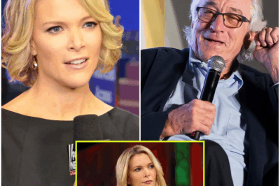 “I Don’t Care What You Think of Me”: Robert De Niro’s Shocking Moment with Megyn Kelly That Turned the Entire Interview Upside Down