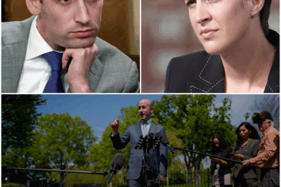 “EXPLOSIVE REVEAL: Rachel Maddow OBLITERATES Stephen Miller Live on Air with ONE Line—‘You Want to Talk Morals, Stephen?’ The SHOCKING Moment That Shattered His Defense and Left Washington in CHAOS. What Secrets Did Maddow EXPOSE About His Wife, and Why Are Political Insiders in PANIC Mode? This Brutal Takedown Will Change Everything—The Truth They Tried to Bury is Now Out in the Open!”       Hỏi ChatGPT