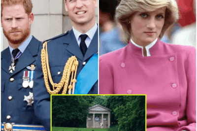 Diana’s Secret Heir Exposed: Why Princes William and Harry Are Bypassed in the Shocking Inheritance of Althorp! What hidden truths are buried within the Spencer family legacy? Discover the unforeseen circumstances that left the royal brothers out in the cold from their mother’s cherished childhood home. Prepare for an eye-opening twist and the name of the unexpected heir that will leave you questioning everything!