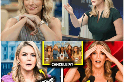 “BREAKING: Karoline Leavitt’s Legal Win Destroys The View — Megyn Kelly’s 12-Word Response Shakes the Media World to Its Core! What Began as a Reckless Joke Became a Courtroom Reckoning, and the Moment Kelly Stepped in Changed Everything. Could This Be the End of The View? Viewers Are Calling It ‘The Rise of the Most Fearless Media Alliance in Years’—The Truth Behind the Scandalous Fall Is More Shocking Than You Think!”