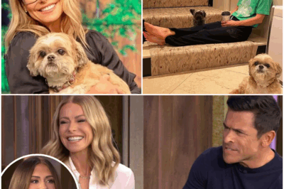 “SHOCKING FAMILY ORDEAL: Kelly Ripa and Mark Consuelos Reveal Heart-Stopping Search for Missing Family Member—The Truth Will Leave You Stunned!” In an emotional revelation, Kelly Ripa and Mark Consuelos open up about a terrifying incident that rocked their family. Fans were left speechless as the beloved couple shared their raw experience of searching for a missing family member, sparking new questions about what really happened behind the scenes. How did this harrowing ordeal affect their children, Michael, Lola, and Joaquin? The answers will leave you questioning everything—find out the full story now!