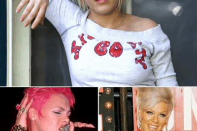 There was a morning, long before sold-out arenas and roaring crowds, when Pink opened her eyes on the floor…