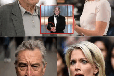 “Watch the Stunning Moment When Robert De Niro Silences Megyn Kelly With Just Eight Words—The Moment That Shook the Nation!”
