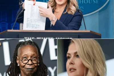“Karoline Leavitt Unveils Shocking $800 Million Secret That Led to Whoopi Goldberg’s Sudden Escape—The Hidden Truth That Has Hollywood Reeling!”