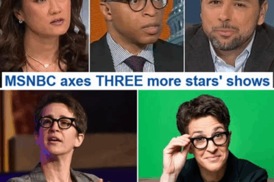 “Rachel Maddow’s Shocking Remarks Spark MSNBC Uproar—Is She Speaking Out Against Bias, or Is It Just Virtue Signaling? The Truth Behind Her Bold Comments and What This Means for Her Career!”