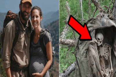 They Disappeared Without a Trace, Leaving Families Desperate and Investigators Puzzled. Ten Years Later, Deep in the Appalachian Wilderness, Three Hunters Saw Something Suspicious in a Tree—A Bulky Shape Blended With Bark, Birds Nesting on Its Edge. What Authorities Found Inside That Suspicious Bag Turned the Forgotten Case Into a Terrifying Revelation. 😱