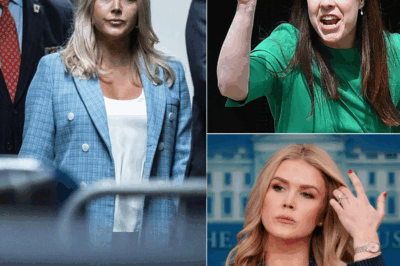 “That’s Ridiculous, ‘You Chose the Wrong Person to Try to Humiliate — I Don’t Back Down, I Fight Back.’ With that cold, determined statement, Karoline Leavitt SHUTS DOWN NBC Reporter Over Controversial Question, Who Thought They Could Mock Her Live On Air. But Instead of Yielding, She Delivered a Sharp and Brilliant Comeback That Left the Studio Silent and the Internet Exploding. Her Voice Did Not Quiver. Her Words Were Flawless, ‘No Room for Nonsense!'”