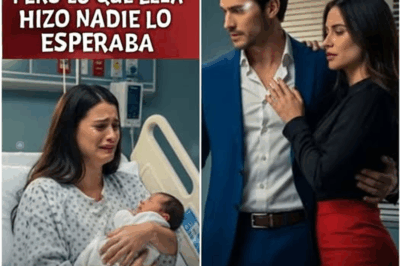 “It Should Have Been the Happiest Day of Her Life — the Day She Finally Held Her Newborn Child in Her Arms. But Within Hours, Her Husband Handed Her Divorce Papers, Shattering What She Thought Was a Perfect Marriage.