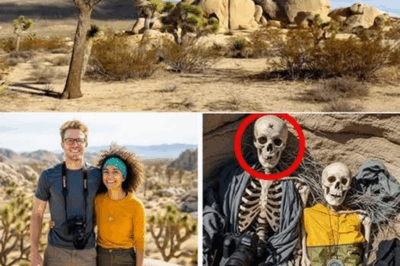 Marcus and Elena were travel bloggers chasing beauty across the world. Their journey into Joshua Tree in 2008 was supposed to be another story of wonder. Instead, they never returned. Fifteen years later, hikers found their remains—and a camera whose preserved recordings revealed a disturbing truth buried in the desert.