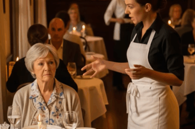 Get On Your Knees, Ma’am! — The Waitress’s Urgent Command On My 50th Anniversary Saved My Life