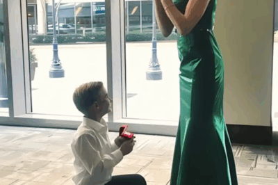 My dad thought I was unaware of his loneliness. But I noticed. Determined to find my widowed dad a wife, I test potential matches with a simple proposal. Most fail. But at a charity gala, fate steps in…