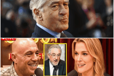 Under the Hot Lights of Los Angeles, a Night That Should Have Been Another Glossy Hollywood Moment Turned Into a Frenzied Spectacle as Robert De Niro, Once the Untouchable King of Cool, Stormed a Stage With Fists Clenched and Voice Trembling in Rage—Only to Find Himself Blindsided as Joe Rogan Unleashed a Verbal Grenade From His Studio and Megyn Kelly Piled On With Surgical Precision, Their Words Echoing Across Screens in Real Time; The Internet Erupted, Memes Multiplied, And Viewers Were Left Asking the Only Question That Mattered: Had a Legend Just Burned His Own Throne Before Millions?”