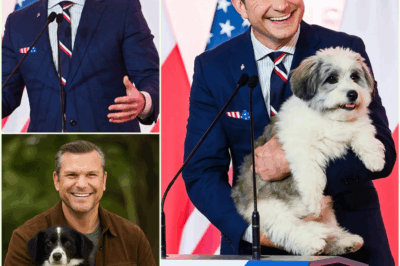 BREAKING: Pete Hegseth’s $5 Million “Dogtopia” Revealed — Inside the 37-Acre Healing Ranch That’s Stirring National Buzz and Unexpected Controversy