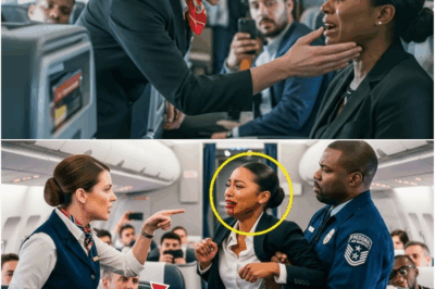 30,000 feet above the Atlantic, silence shattered as a slap echoed through the cabin. What followed was a masterclass in quiet power, corporate reckoning — and poetic justice.