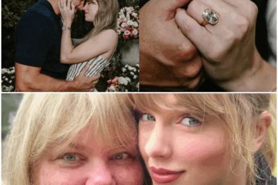 The Quiet Hours Before the Garden Was Ready