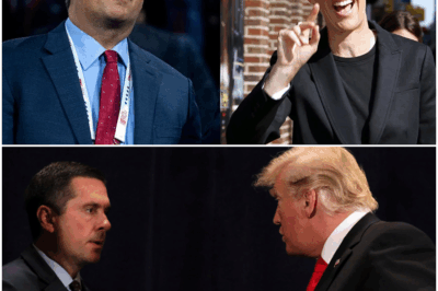 Legal Earthquake: Rachel Maddow CRUSHES Trump Media CEO Devin Nunes in Stunning Courtroom Victory — After Months of Silence and Legal Chess, Nunes Abruptly Concedes Defeat, Leaving Even His Own Supporters Stunned. What Evidence Tipped the Scales So Decisively in Maddow’s Favor, and Why Is the Victory Being Hailed as a Landmark Blow to Trump’s Media Machine? Inside the Strategy, the Secrets, and the Behind-the-Scenes Power Struggle That Turned This Case Into a High-Stakes Battle for Truth — And What Maddow Plans to Do Next Will Have Everyone Talking.”