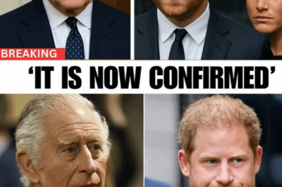 IT’S FINAL! King Charles Strips Prince Harry of All Remaining Royal Privileges—Public Cheers the Bold Move