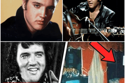 “Graceland’s 50-Year Secret: Elvis’s Hidden Room Unveiled! After half a century, a secret room at Graceland is finally revealed. What shocking treasures and untold stories were hidden inside? The discovery will rewrite Elvis’s history!”