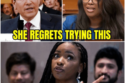 Rubio’s Razor-Sharp Retort Shakes Capitol Hill: Jasmine Crockett’s Explosive Attack Backfires in Congressional Clash