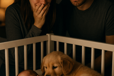 Doctors Feared He Might Never Walk—Then a Puppy Leapt Into His Crib and Everything Changed It wasn’t the calm kind of silence Sunday mornings bring. This one was heavy, pressing into every hallway, every breath. Outside, storm clouds bruised the sky, but inside the Parker home, time had stopped.