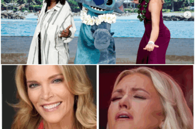 ABC Axes Daytime as You Know It? Inside the Shocking Claim That The View Was Secretly Scrapped Overnight and Replaced by a Mystery Morning Powerhouse Fronted by a Grieving Widow, a Battle-Hardened Anchor, and a “Values-First” Agenda