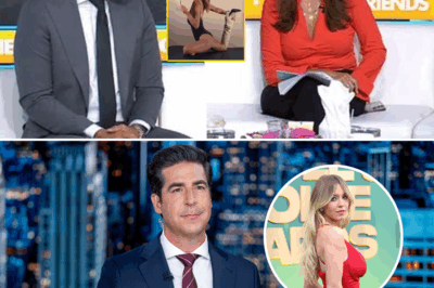 Sydney Sweeney vs. The Internet: The Jimmy Choo Ad That Sparked a National Firestorm