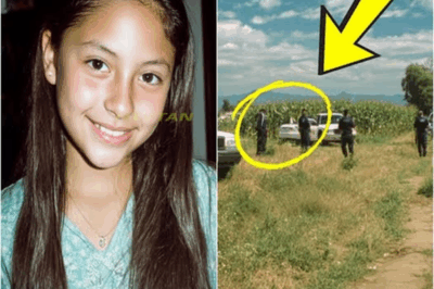 Niña desapareció en 2003 en un campo de maíz – 2 días después, camionero encontró algo perturbador…..