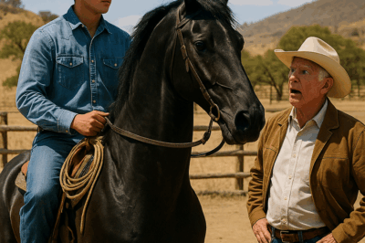 The Devil Horse: The Day a Humble Cowboy Silenced a Rancher’s Laughter