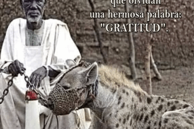 The Servant and the Savage Dogs: A Shocking Lesson in Gratitude That Shook a Kingdom