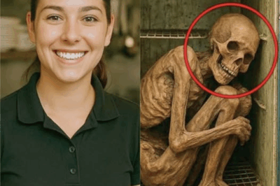 She vanished mid-shift and was never seen again—until a year later, when a cook found a hidden box under the kitchen floor, containing her badge, photos of the restaurant, and a chilling diary note naming the man who “knew everything.”