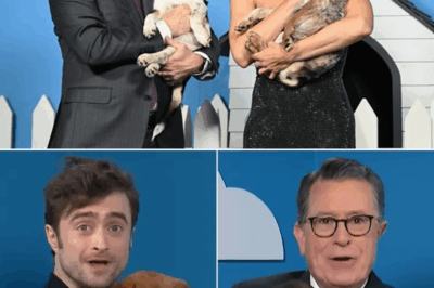 Stephen Colbert’s $14 Million Sanctuary: A Comedian’s Bold Leap From Stage to Shelter