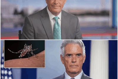 “Anchor Down: John Roberts’ Fight With a Rare & ‘Severe’ Malaria Case Stuns America”