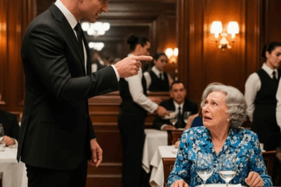 They Mocked an Elderly Woman Dining Alone in a Luxury Restaurant — Until the Owner Appeared and Changed Everything