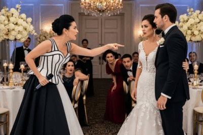 They Laughed at My Farmer Husband and Toasted to My “Humble Life.