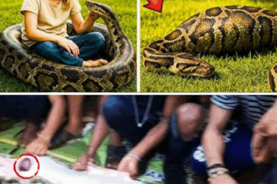 The backyard looked ordinary, the afternoon peaceful. But then silence fell, broken only by a father’s desperate cry.