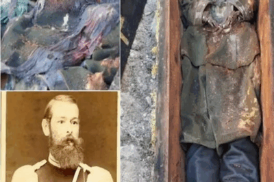 Archaeologists expected broken pottery, but instead they found a mystery so explosive it left experts speechless.