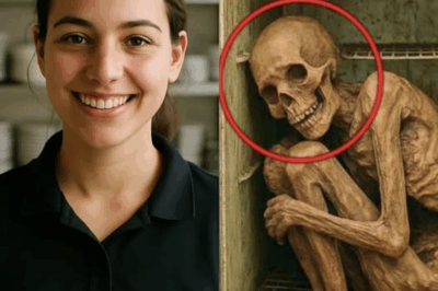 “A Waitress Vanished During Her Shift in Chihuahua, and a Year Later a Cook Lifted a Loose Tile in the Restaurant Kitchen — What He Found Inside a Hidden Box Changed Everything He Thought He Knew About the Place”