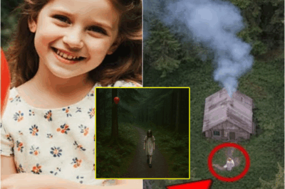 Girl Disappears During Family Picnic — 15 Years Later a Drone Captures Something in the Forest