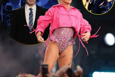 “Pink vs. ABC: The One Line That Shook America’s Debate on Free Speech”