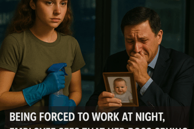 Being Forced To Work At Night, Employee Sees Her Boss Crying Looking At A Picture Where She Appears…
