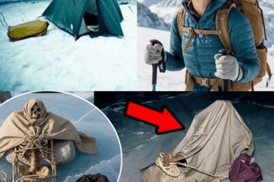 “A Tourist Vanished Into Alaska’s Vast Wilderness And Was Presumed Lost Forever — But Seven Years Later Her Skeleton Was Found Beneath The River Ice, Feet Weighted With Stones, And Investigators Realized It Wasn’t Nature That Claimed Her Life”