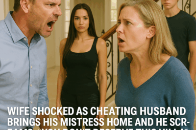 The Villa Betrayal: A Family’s Shocking Unraveling